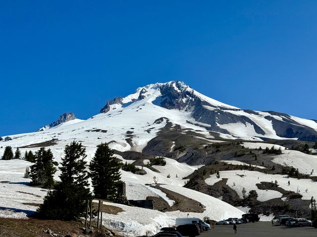 Mount Hood in all her glory