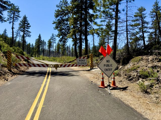 McKenzie Pass is technically signed and closed to the public but the cyclists still go up