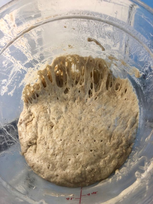 Sourdough Starter