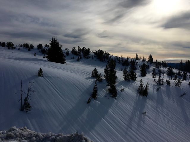 Wind Patterns in the Snow